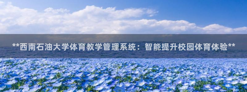 必一体育sport：