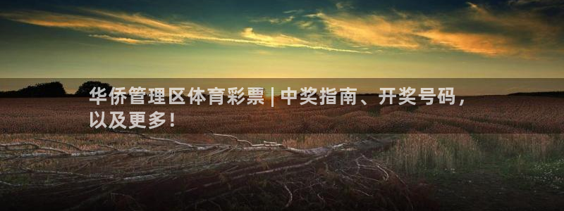 必一运动 b 体育素
