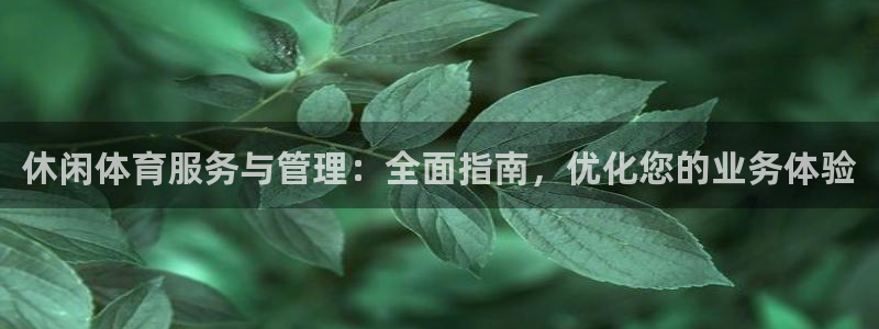 必一体育官网ios下