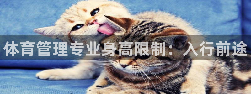必一体育怎么下载：体