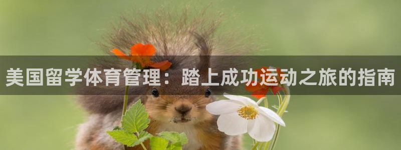 必一体育网页登录版官