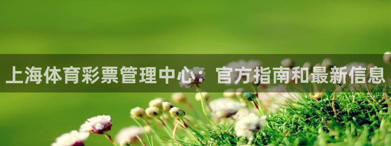 必一体育运动平台官网