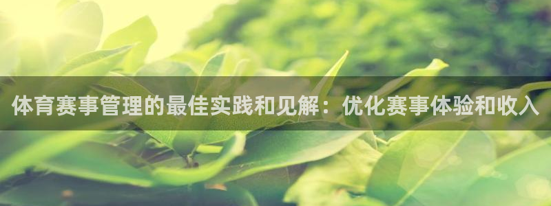 必一体育游戏玩法：体