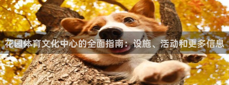 必一体育app官方正