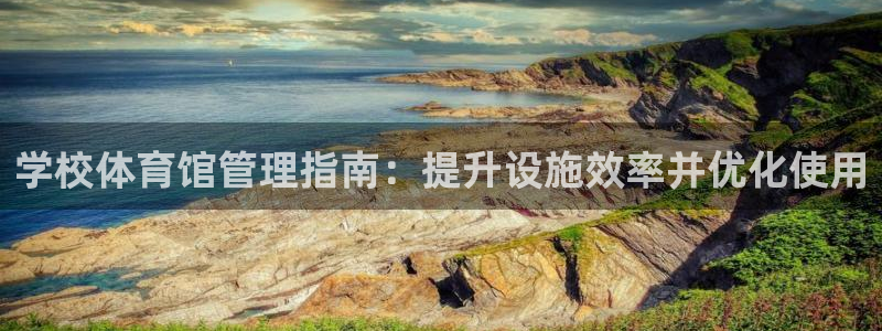必一体育运动平台官网