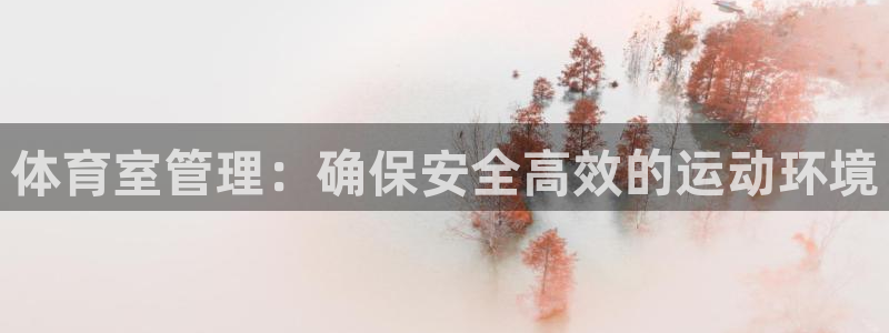 必一体育游戏玩法：体