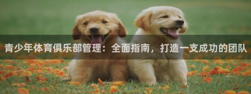 必一运动官网平台：青