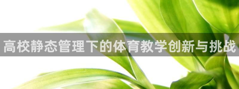 必一体育在哪下：高校