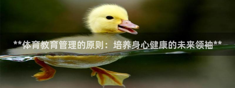 必一运动官网登录入口