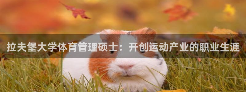 必一运动：拉夫堡大学