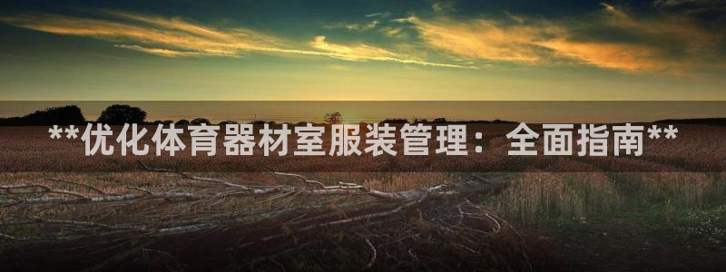 必一运动sport爱