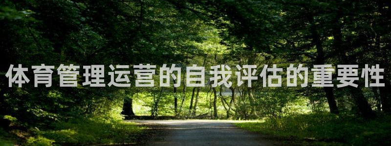 必一体育游戏玩法：体