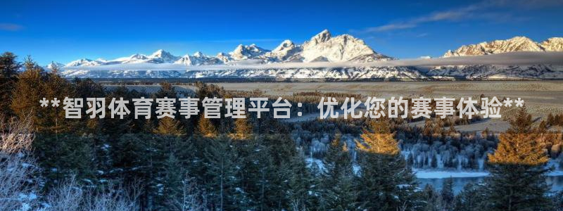 必一体育APP下载安