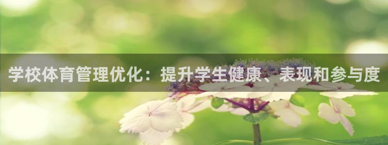 必一体育sport装