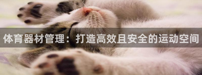 必一体育在线登陆：体
