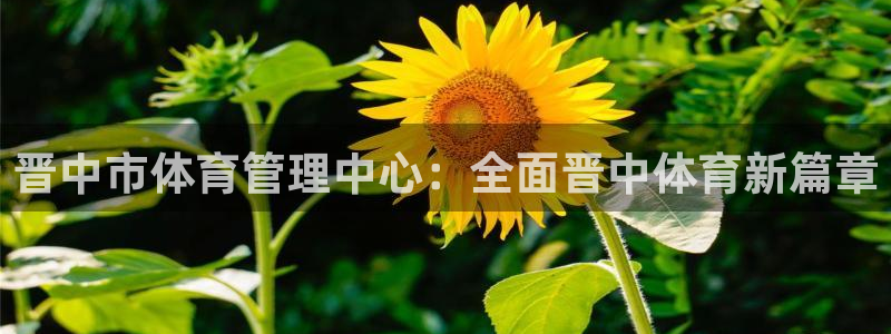 氵必一一厂一：晋中市