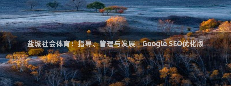 必一体育运动下载：盐