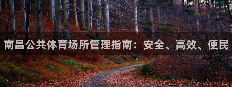 必一运动体：南昌公共