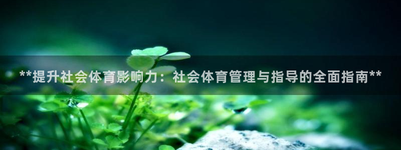 必一体育sport下