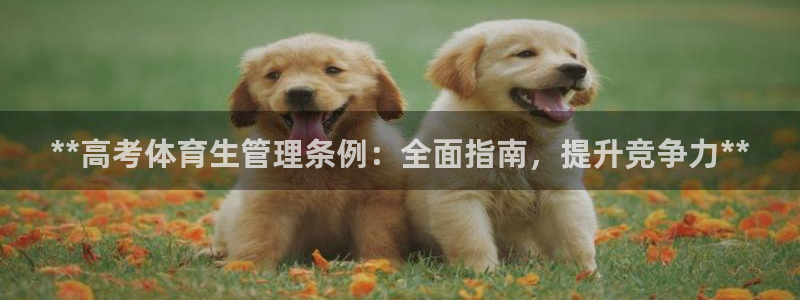 必一体育APP：**