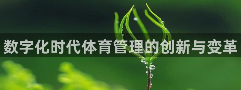 必一运动官网：数字化