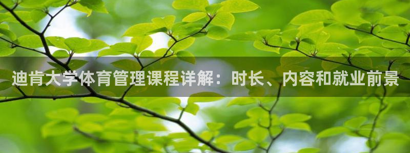 必一体育运动平台官网