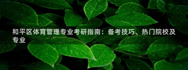 b体育官网下载入口a