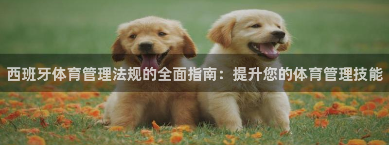 必一体育验证码：西班