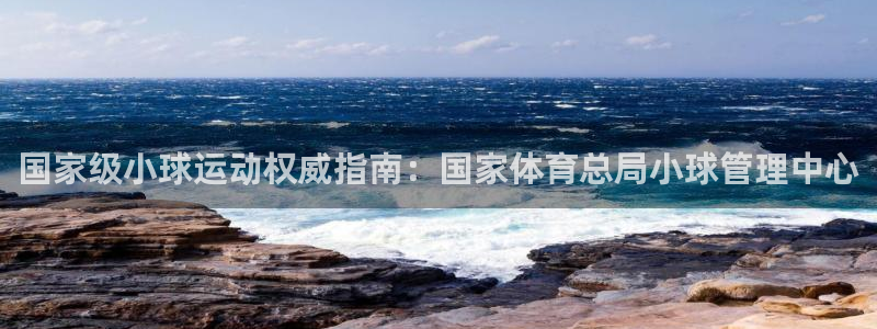 必一体育sport官