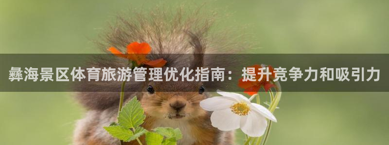 必一体育官网网站：彝