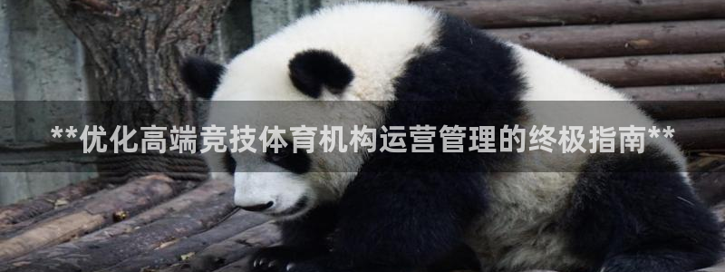 必一体育运动app下