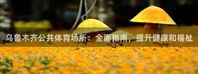 必一运动sport网