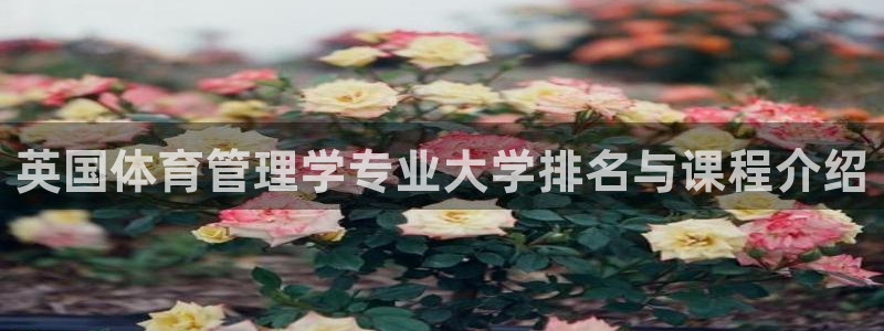 必一体育官网网址：英