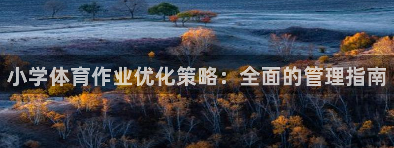 必一体育官网网址：小