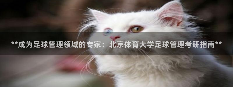 b体育官网下载入口a