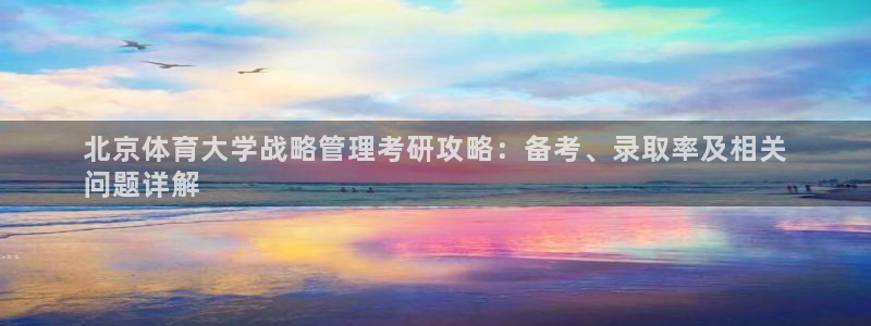 必一体育sport装