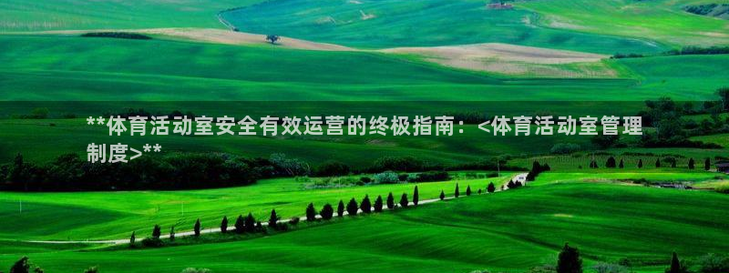 必一体育是啥：**体