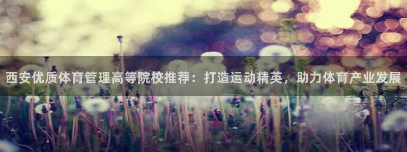 必一体育app下载最
