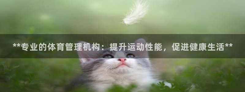 必一体育登录：**专