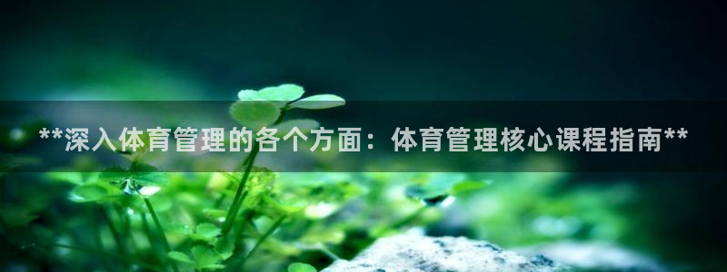 必一体育怎么下载：*