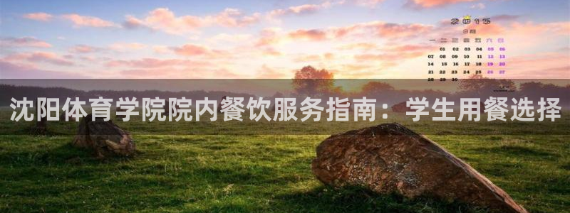 必一体育电子app：