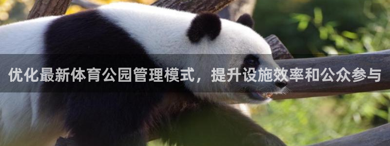 必一体育黑平台：优化