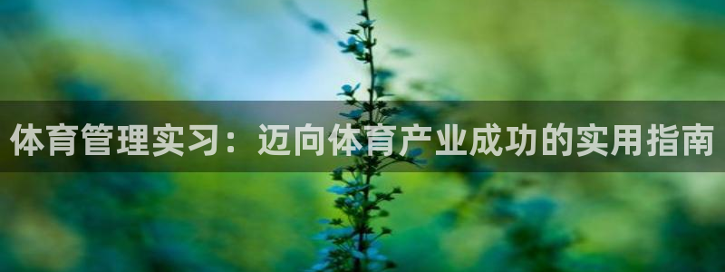 必一体育运动下载：体