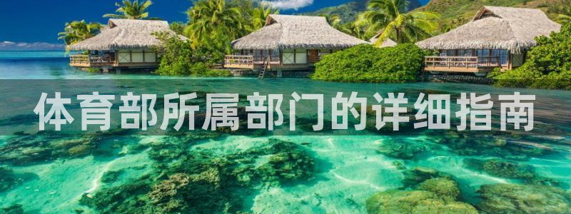 必一体育怎么下载：体