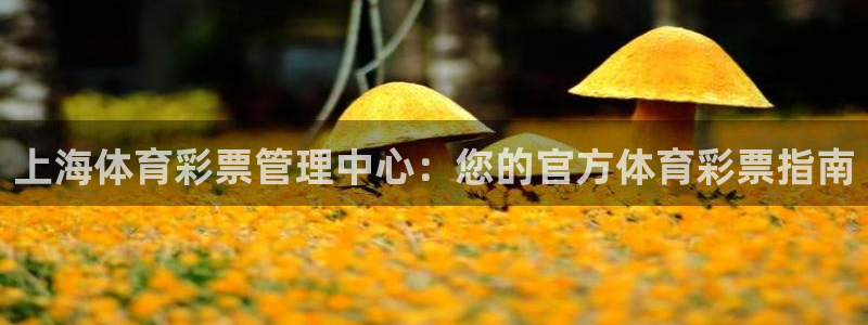 必一体育下载意思：上