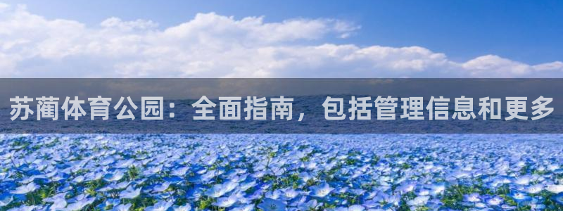 必一体育运动app：