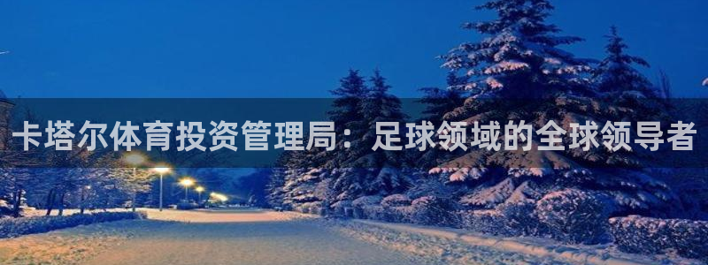 必一体育bsport
