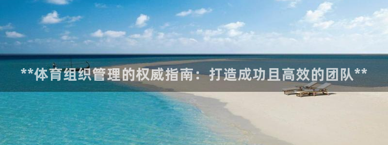 必一体育sport：