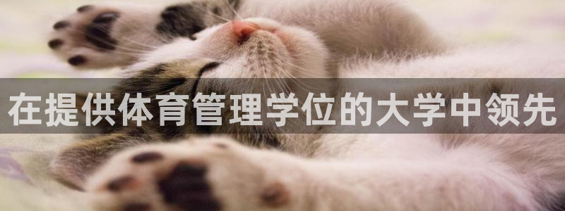 必一体育是哪里的台子