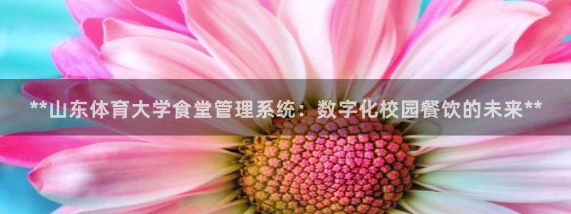 必一体育下载app：